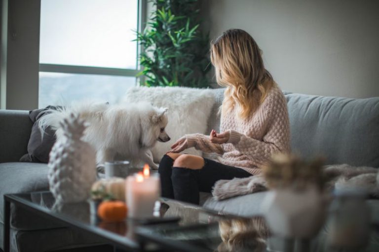 Winterize Home - woman sitting on sofa while holding food for dog