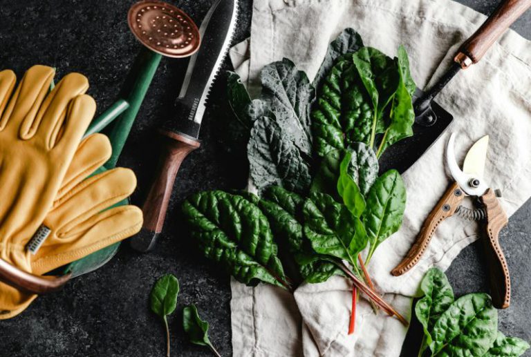 Garden Tools - green leaves beside brown wooden rolling pin