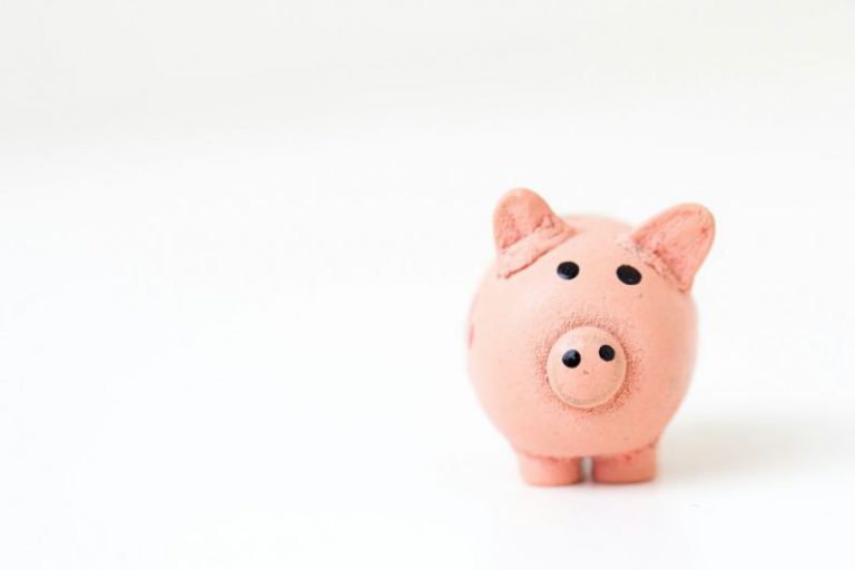 Budget Bathroom - pink pig figurine on white surface