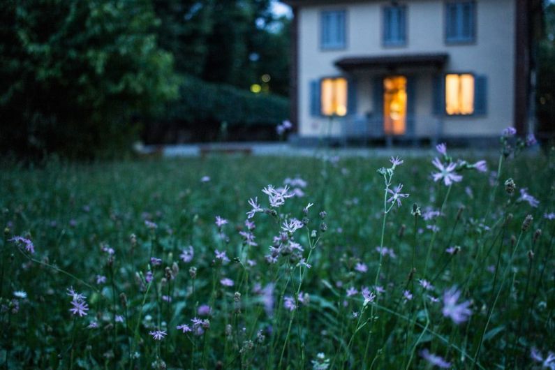 New Build Vs Old Home - field of purple flower beside house