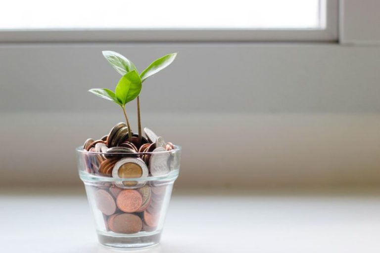 Saving Money - green plant in clear glass cup