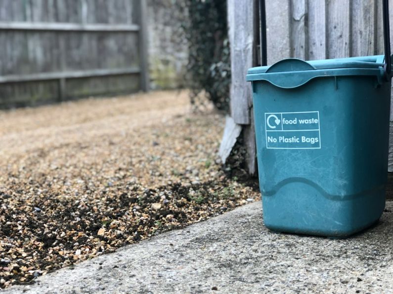 Compost Bin - green trash can beside wooden fence