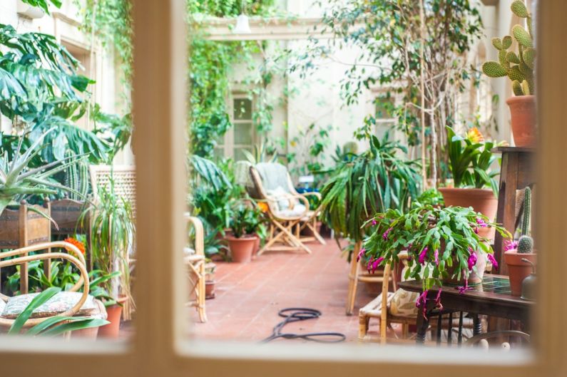 Balcony Garden - green potted plants on brown wooden table