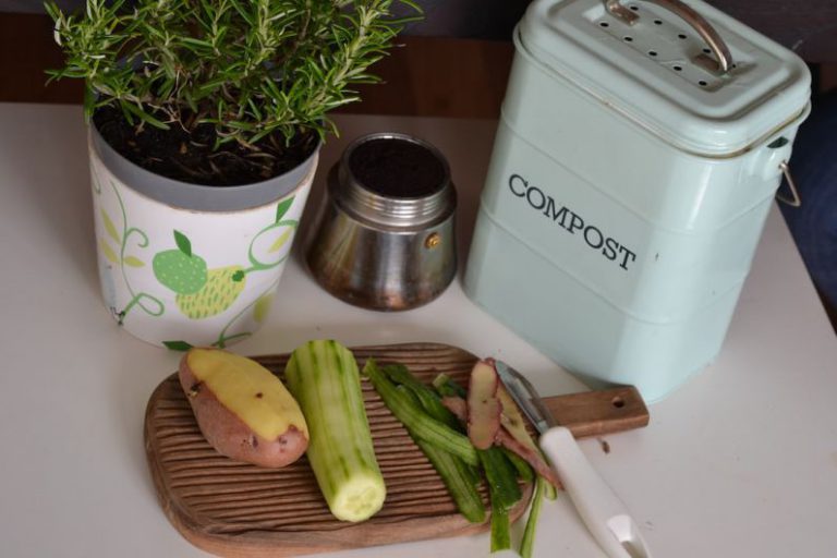 Composting System - green plant on white and purple floral ceramic pot